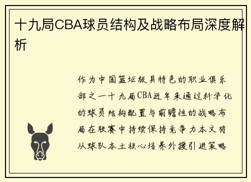 十九局CBA球员结构及战略布局深度解析
